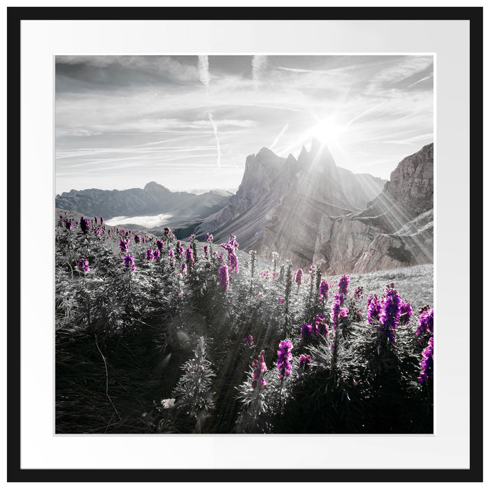 Bergwiese im Puez-Geisler Naturpark B&W Detail Passepartout Quadratisch 70