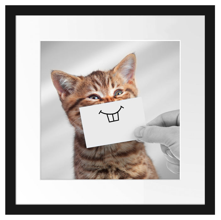 Lustige Katze mit Lächeln auf Papier B&W Detail Passepartout Quadratisch 40