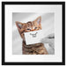 Lustige Katze mit Lächeln auf Papier B&W Detail Passepartout Quadratisch 40