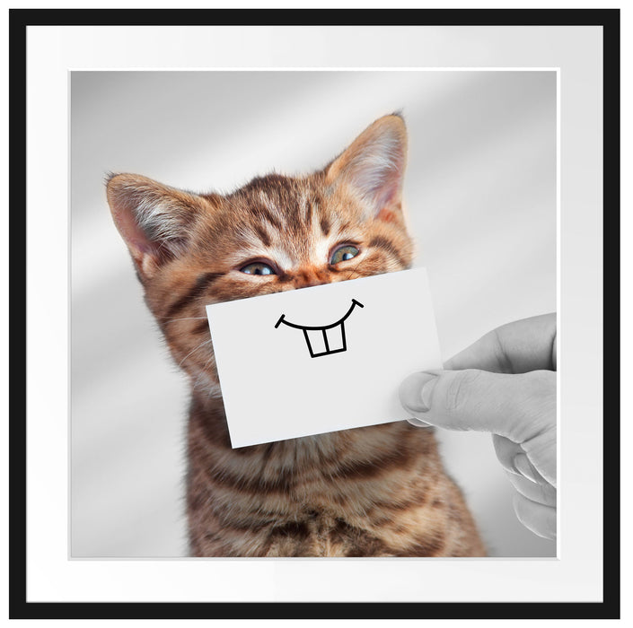 Lustige Katze mit Lächeln auf Papier B&W Detail Passepartout Quadratisch 70
