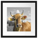 Neugierige Kuh auf Weide im Allgäu B&W Detail Passepartout Quadratisch 40