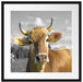 Neugierige Kuh auf Weide im Allgäu B&W Detail Passepartout Quadratisch 55