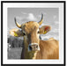 Neugierige Kuh auf Weide im Allgäu B&W Detail Passepartout Quadratisch 70