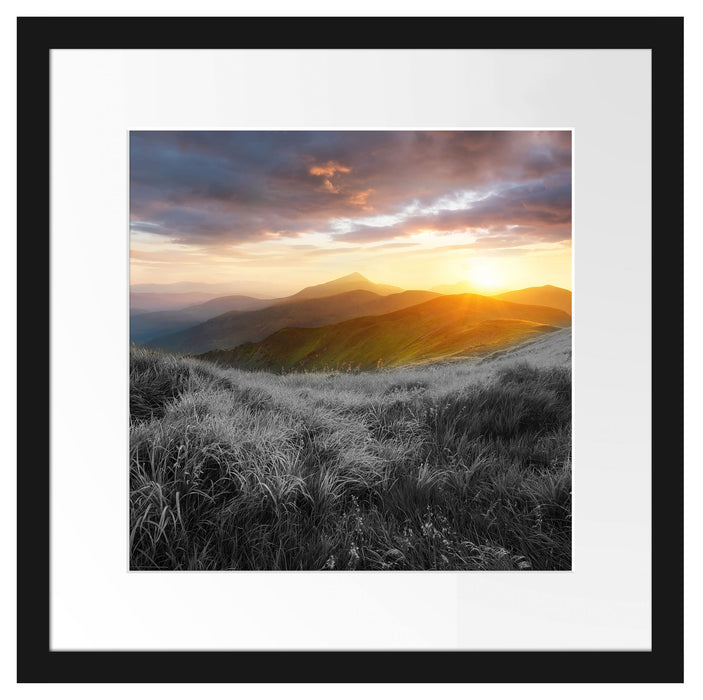 Sommerliche Bergwiese Sonnenuntergang B&W Detail Passepartout Quadratisch 40