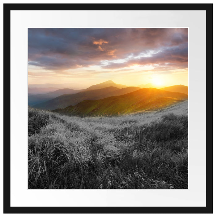 Sommerliche Bergwiese Sonnenuntergang B&W Detail Passepartout Quadratisch 55