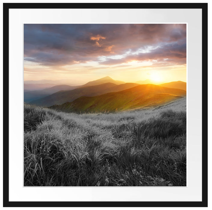 Sommerliche Bergwiese Sonnenuntergang B&W Detail Passepartout Quadratisch 70