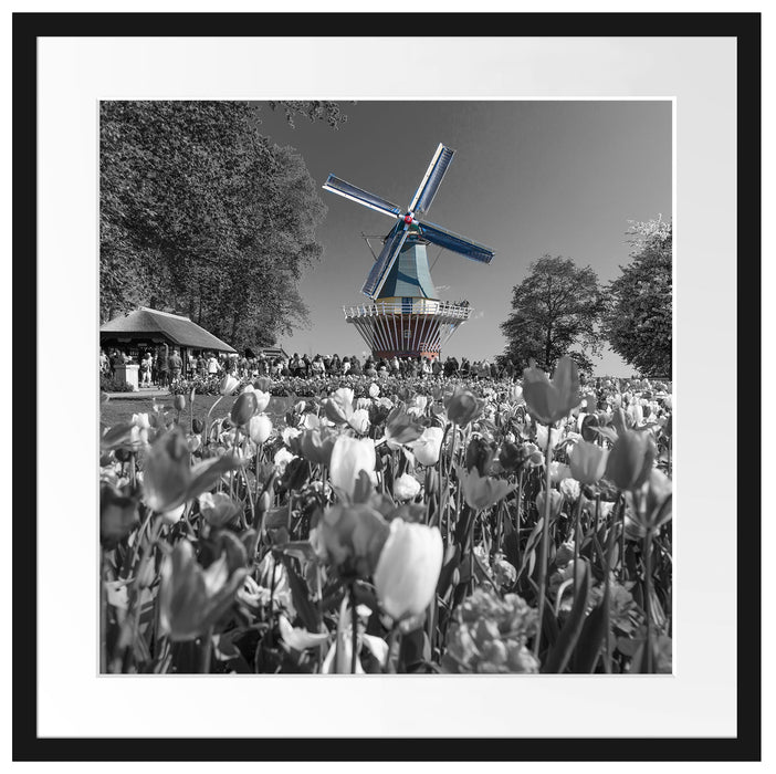 Holländisches Tulpenmeer vor Windmühle B&W Detail Passepartout Quadratisch 55