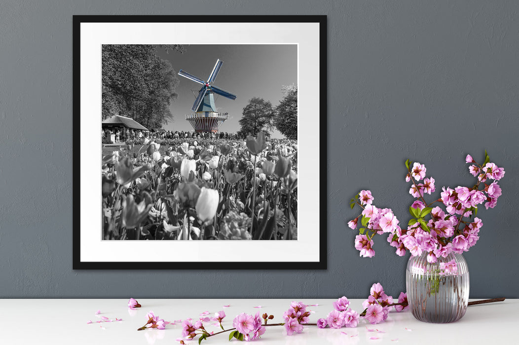 Holländisches Tulpenmeer vor Windmühle B&W Detail Passepartout Detail Quadratisch