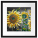 Sonnenblumen vor blauem Hintergrund B&W Detail Passepartout Quadratisch 40
