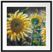Sonnenblumen vor blauem Hintergrund B&W Detail Passepartout Quadratisch 55