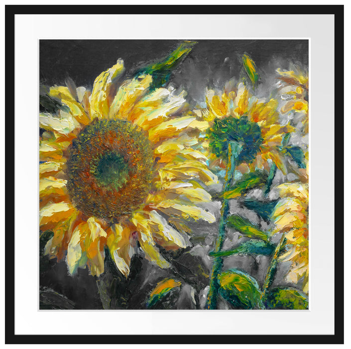 Sonnenblumen vor blauem Hintergrund B&W Detail Passepartout Quadratisch 70