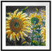 Sonnenblumen vor blauem Hintergrund B&W Detail Passepartout Quadratisch 70