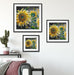 Sonnenblumen vor blauem Hintergrund B&W Detail Passepartout Wohnzimmer Quadratisch