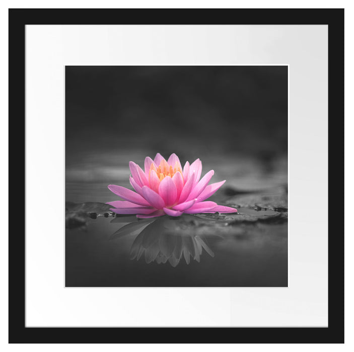 Leuchtende Lotusblüte auf grauer Pfütze B&W Detail Passepartout Quadratisch 40