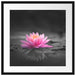 Leuchtende Lotusblüte auf grauer Pfütze B&W Detail Passepartout Quadratisch 55