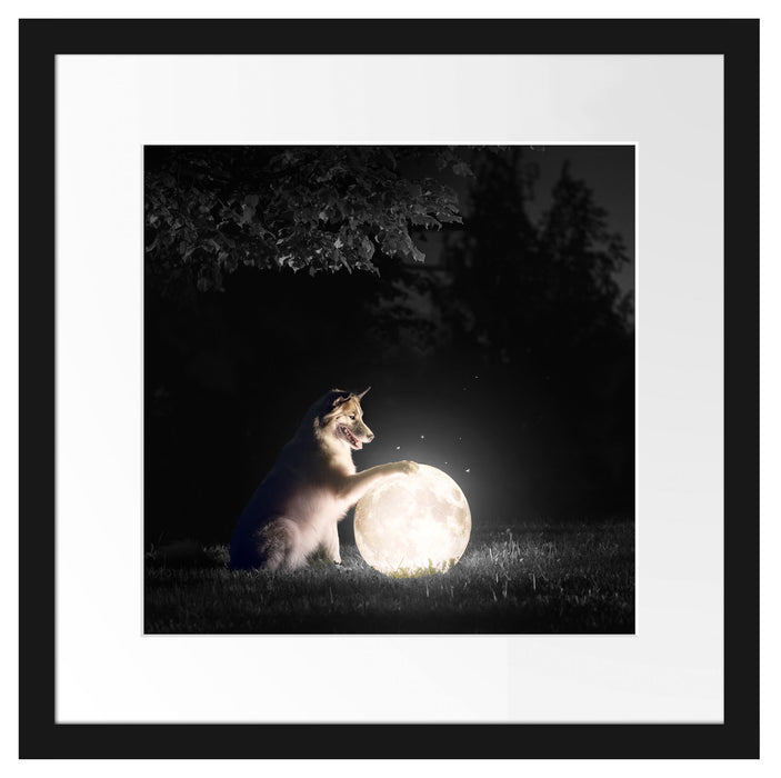 Hund mit leuchtendem Mond bei Nacht B&W Detail Passepartout Quadratisch 40