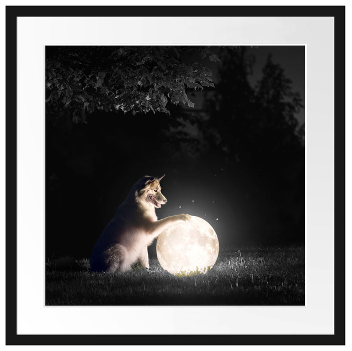 Hund mit leuchtendem Mond bei Nacht B&W Detail Passepartout Quadratisch 55