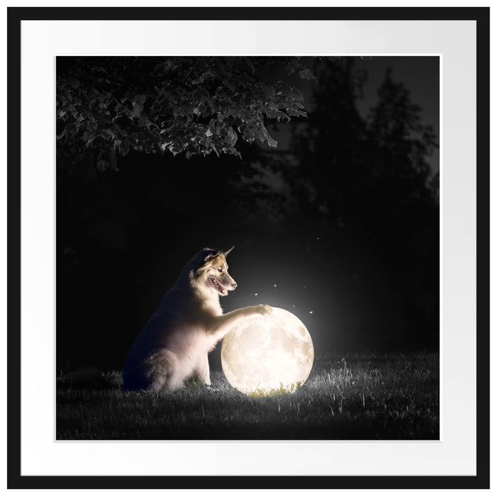 Hund mit leuchtendem Mond bei Nacht B&W Detail Passepartout Quadratisch 70