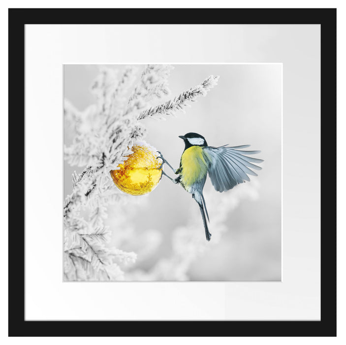 Kohlmeise an goldener Kugel in Winterwald B&W Detail Passepartout Quadratisch 40