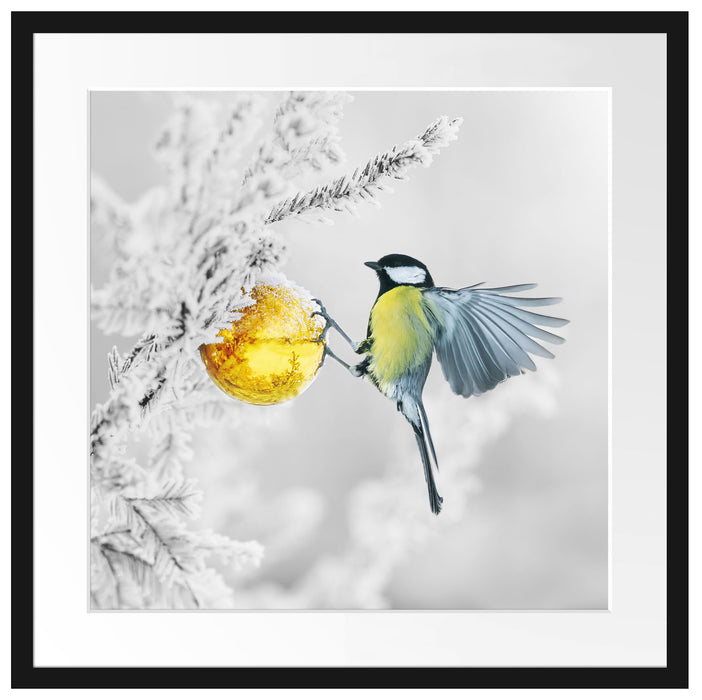 Kohlmeise an goldener Kugel in Winterwald B&W Detail Passepartout Quadratisch 55
