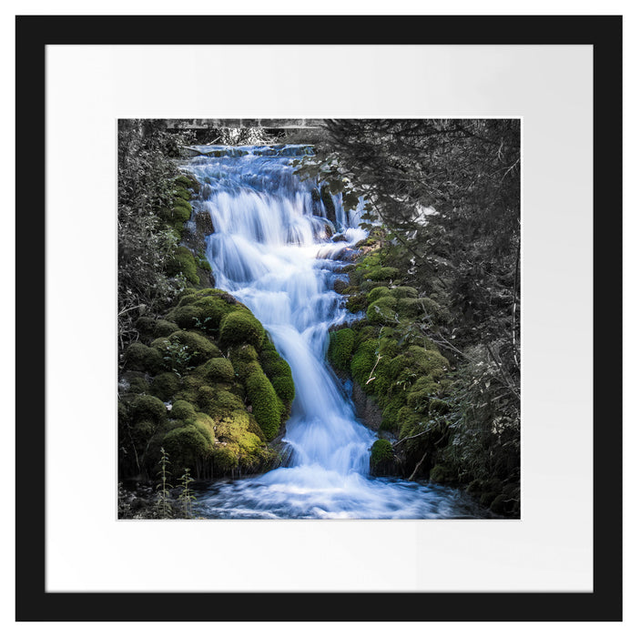 Wasserfall im grünen Wald B&W Detail Passepartout Quadratisch 40