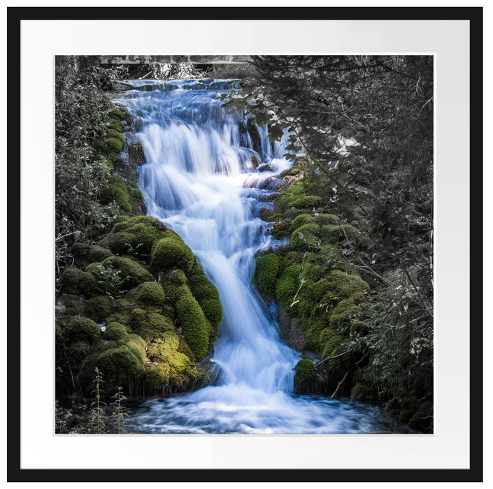 Wasserfall im grünen Wald B&W Detail Passepartout Quadratisch 70