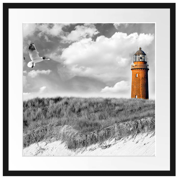 Möwen fliegen am Meer vor Leuchtturm B&W Detail Passepartout Quadratisch 55