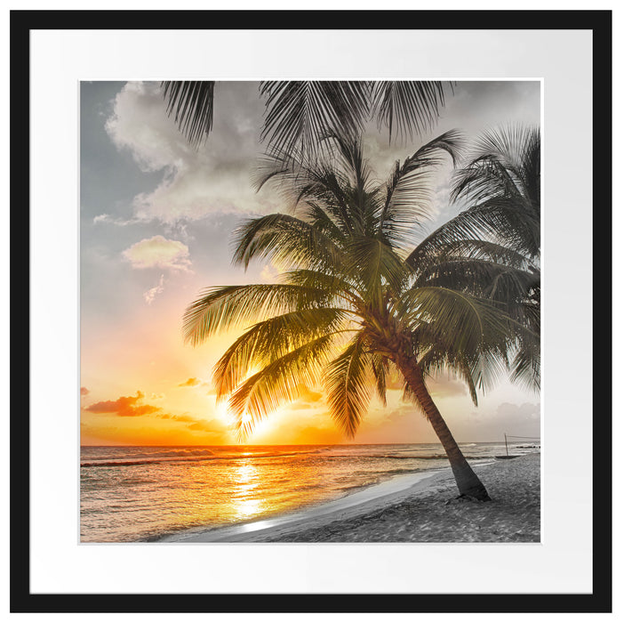 Palmen im Sonnenuntergang auf Barbados B&W Detail Passepartout Quadratisch 55