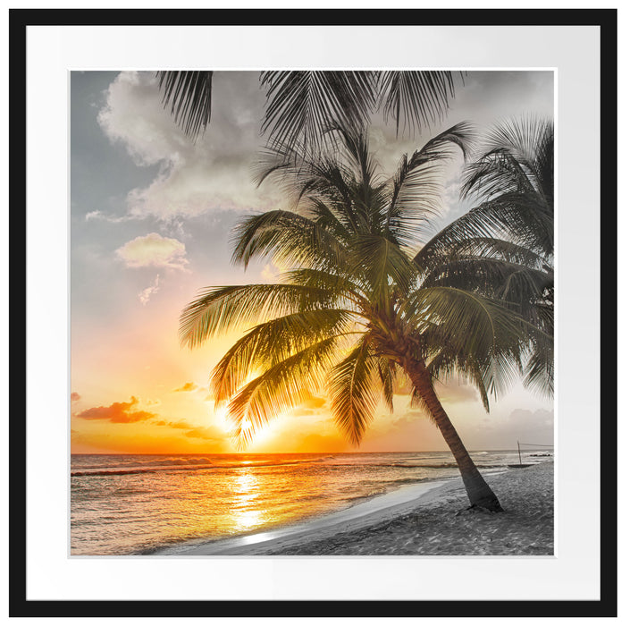 Palmen im Sonnenuntergang auf Barbados B&W Detail Passepartout Quadratisch 70