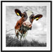 Nahaufnahme Grasende Kuh auf Weide B&W Detail Passepartout Quadratisch 70