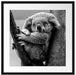 Schlafender Koala im Baum, Monochrome Passepartout Quadratisch 55