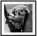 Schlafender Koala im Baum, Monochrome Passepartout Quadratisch 70