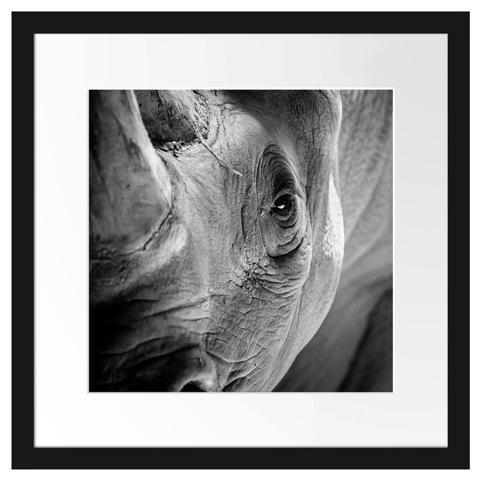 Nahaufnahme eines Nashorn Schwarz-weiß, Monochrome Passepartout Quadratisch 40