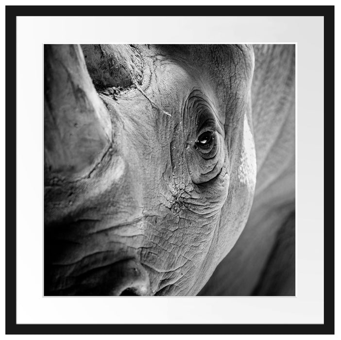 Nahaufnahme eines Nashorn Schwarz-weiß, Monochrome Passepartout Quadratisch 55