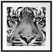 Nahaufnahme Sumatra Tiger, Monochrome Passepartout Quadratisch 55