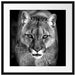 Bedrohlicher Puma Nahaufnahme, Monochrome Passepartout Quadratisch 55