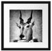 Antilopenkopf mit Menschenkörper, Monochrome Passepartout Quadratisch 40