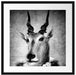 Antilopenkopf mit Menschenkörper, Monochrome Passepartout Quadratisch 55