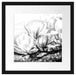 Wunderschöne Magnolien Nahaufnahme, Monochrome Passepartout Quadratisch 40