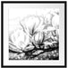 Wunderschöne Magnolien Nahaufnahme, Monochrome Passepartout Quadratisch 55