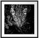 gefährlicher Panther im Wald von oben, Monochrome Passepartout Quadratisch 70