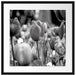Bunte holländische Tulpen Nahaufnahme, Monochrome Passepartout Quadratisch 55