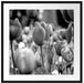 Bunte holländische Tulpen Nahaufnahme, Monochrome Passepartout Quadratisch 70