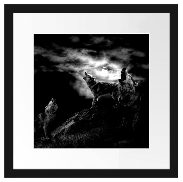 Heulende Wölfe bei Mondschein, Monochrome Passepartout Quadratisch 40