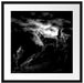 Heulende Wölfe bei Mondschein, Monochrome Passepartout Quadratisch 55