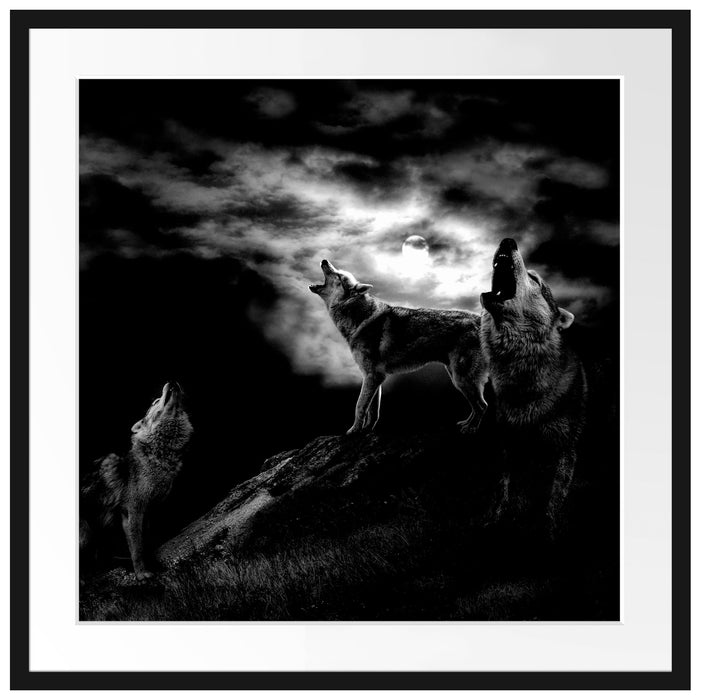 Heulende Wölfe bei Mondschein, Monochrome Passepartout Quadratisch 70