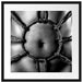 Kreis aus Seilen auf nacktem Körper, Monochrome Passepartout Quadratisch 55