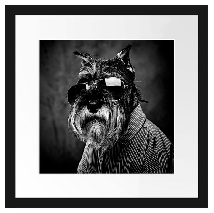 Lustiger Hund mit Hemd und Sonnenbrille, Monochrome Passepartout Quadratisch 40