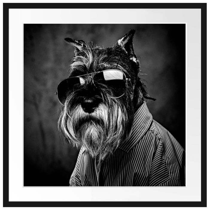 Lustiger Hund mit Hemd und Sonnenbrille, Monochrome Passepartout Quadratisch 70