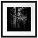 Hirsch im Wald schaut neugierig in die Kamera, Monochrome Passepartout Quadratisch 40